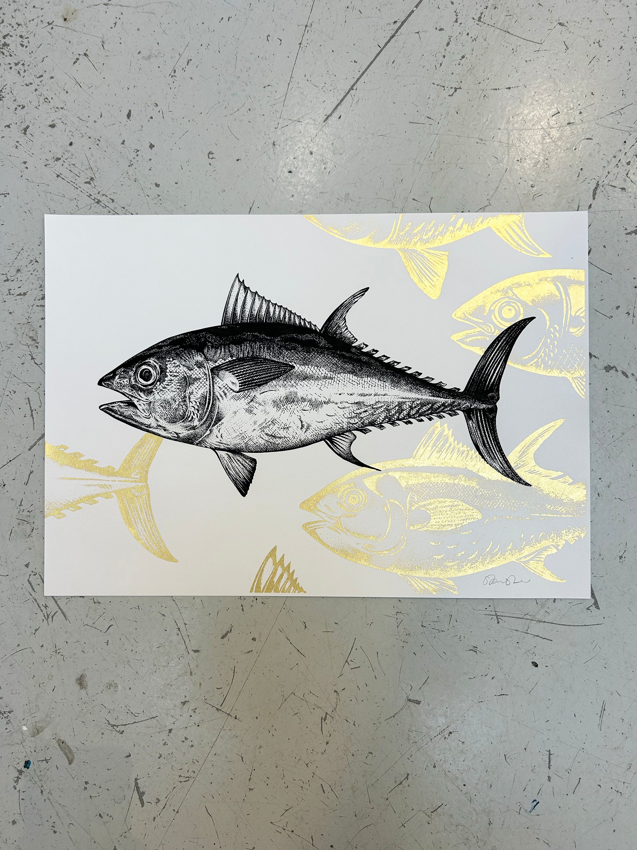 BLUEFIN TUNA - ORIGINAL DRAWING