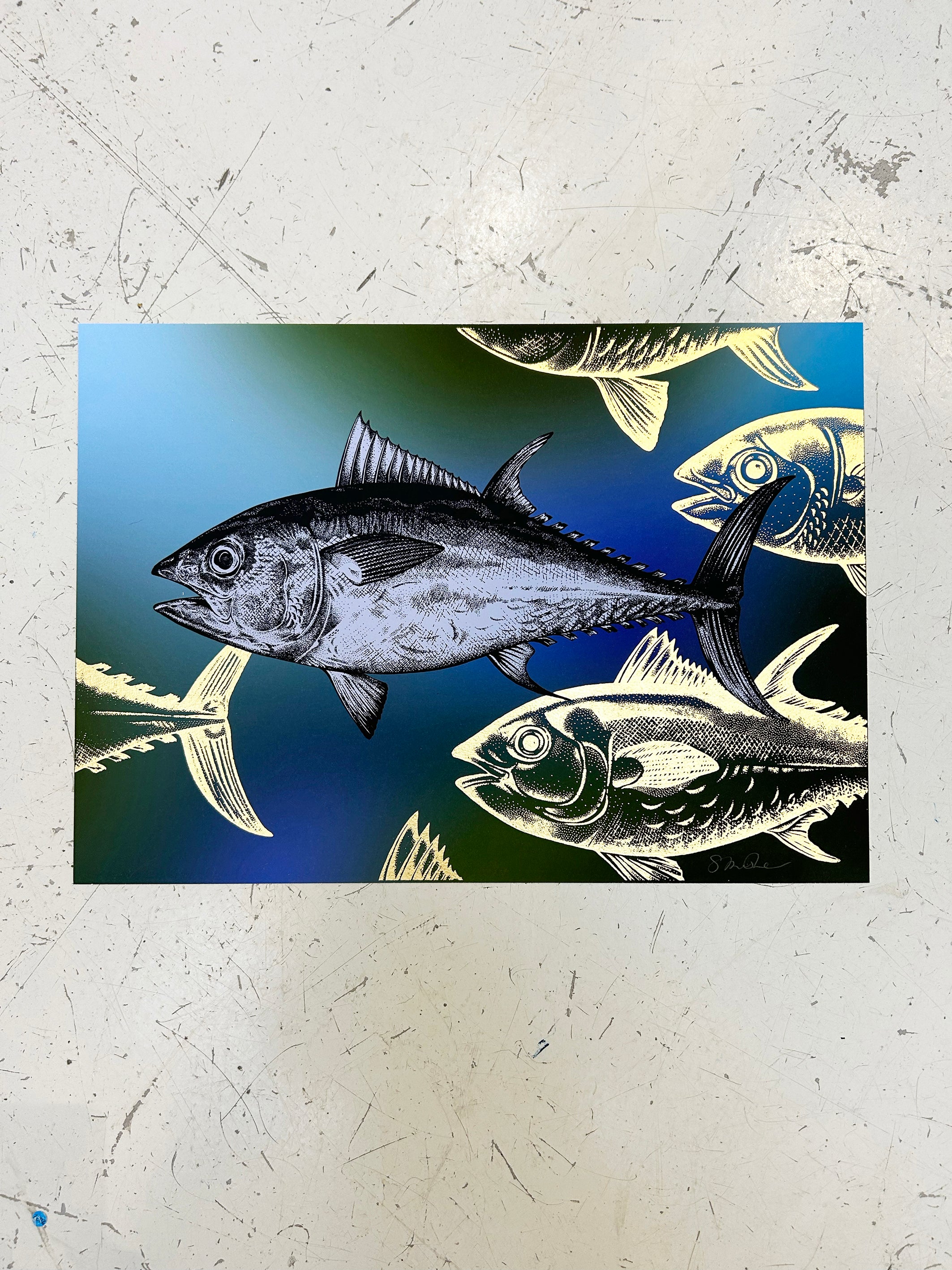 BLUEFIN TUNA - OCEAN