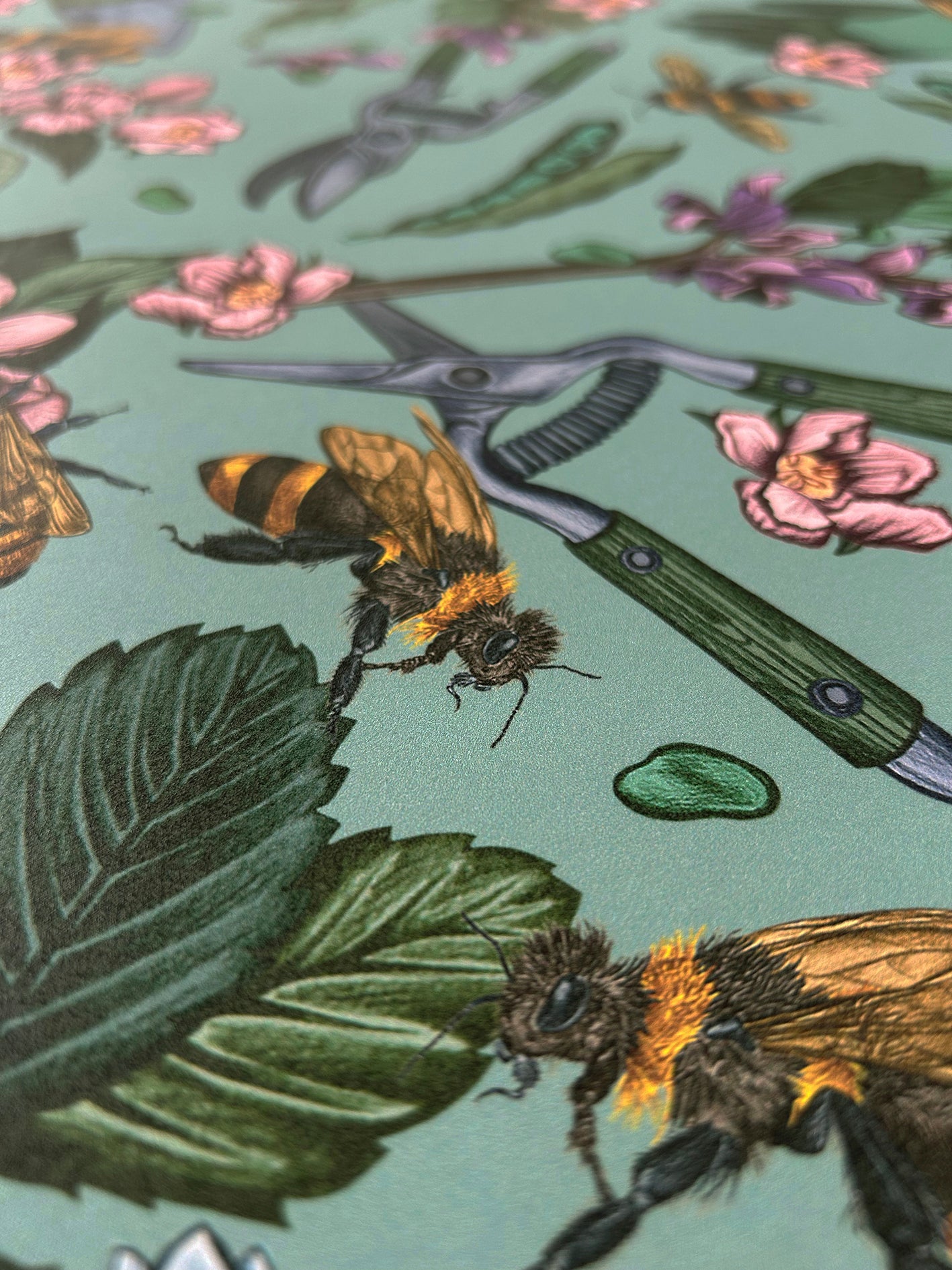 Signature Bee Mint Wallpaper
